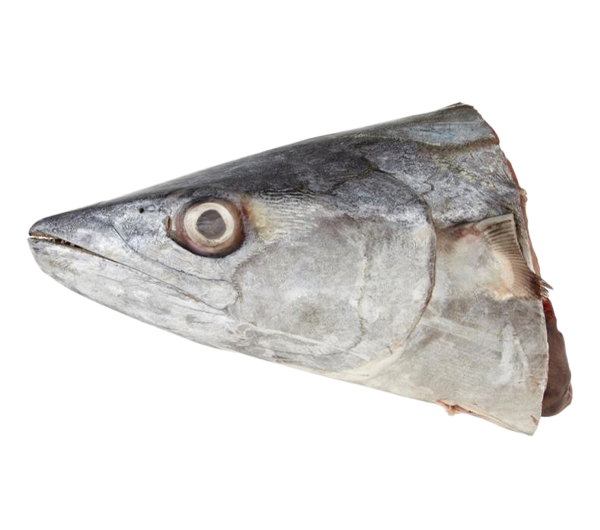 Narrow Barred Spanish Mackerel | Tenggiri Batang (Head | Kepala | 头)