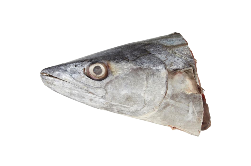 Narrow Barred Spanish Mackerel _ Tenggiri Batang _ 竹交 (HEAD Narrow Barred Spanish Mackerel | Tenggiri Batang (Head | Kepala | 头) - Image 1