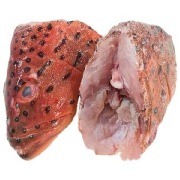 7 Star Grouper | Kerapu Merah | 七星斑 (Head | Kepala | 头)