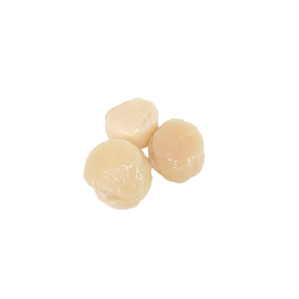 Canadian Scallop Meat | 带子肉 20/30 (L)