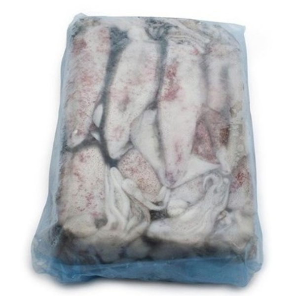 Frozen Squid Whole | Sotong Beku | 冷冻全鱿鱼 10/20