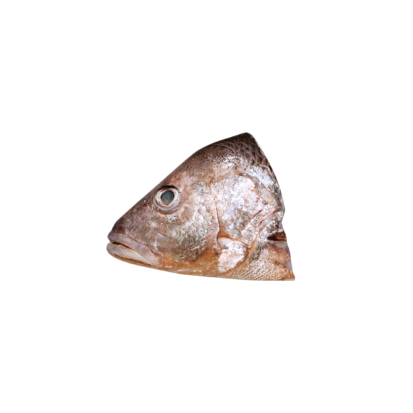 Golden Snapper | Jenahak | 红皂 (Head | Kepala | 头)
