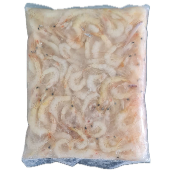 Mini Prawn/Thelly Shrimp/Koebi | Udang Mini | 小蝦