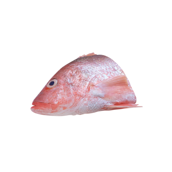 Red Snapper | Ikan Merah | 红鱼 (Head | Kepala | 头)