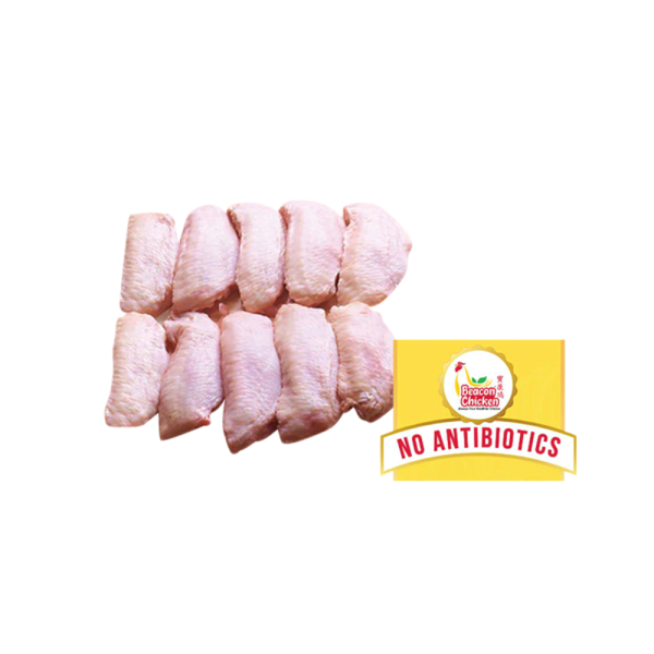 Seaweed Chicken Wingette