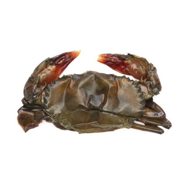 Soft Shell Crab