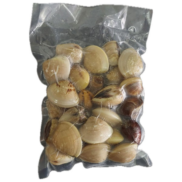 White Clam | Kepah/Lala Putih | 白壳沙白 20/30